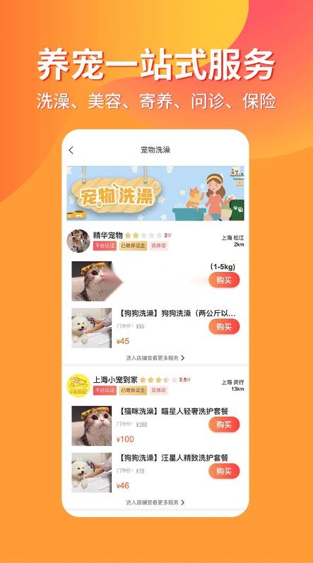 宠物市场图4