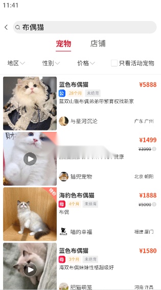 宠物市场图7