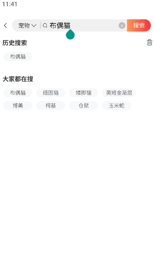 宠物市场图6