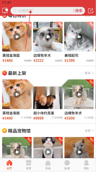 宠物市场图5