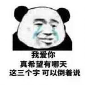 Prada的眼泪PradaPrada地掉表情包 图3