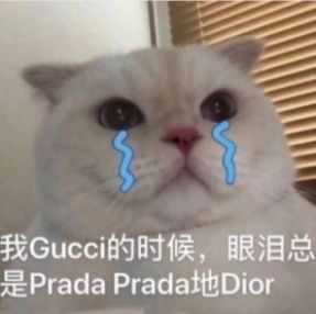 Prada的眼泪PradaPrada地掉表情包 图2