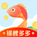 锦鲤多多官网版下载-锦鲤多多安装包下载