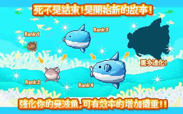 曼波鱼正版图2