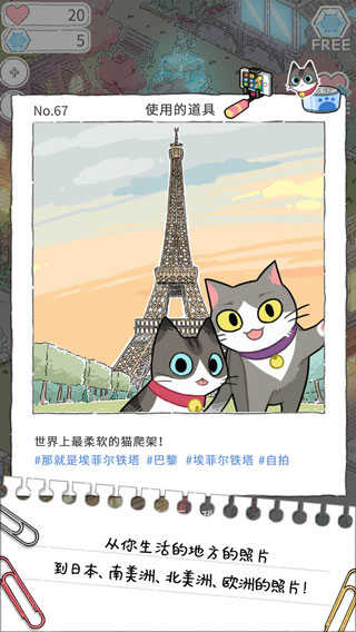 猫友圈猫咪的旅行.3图3