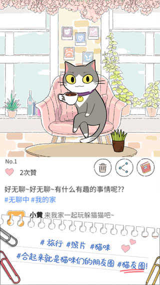 猫友圈猫咪的旅行.3图4
