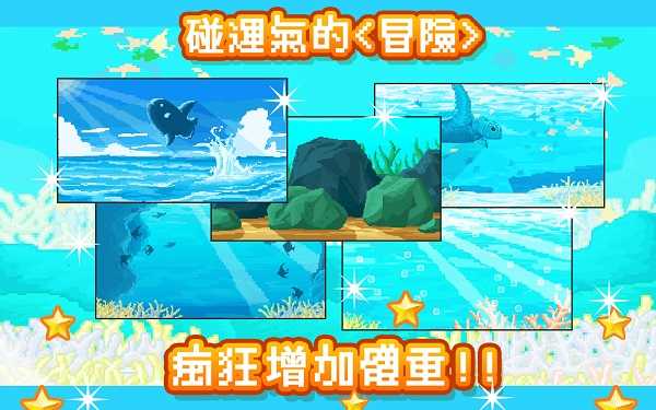 曼波鱼正版图1