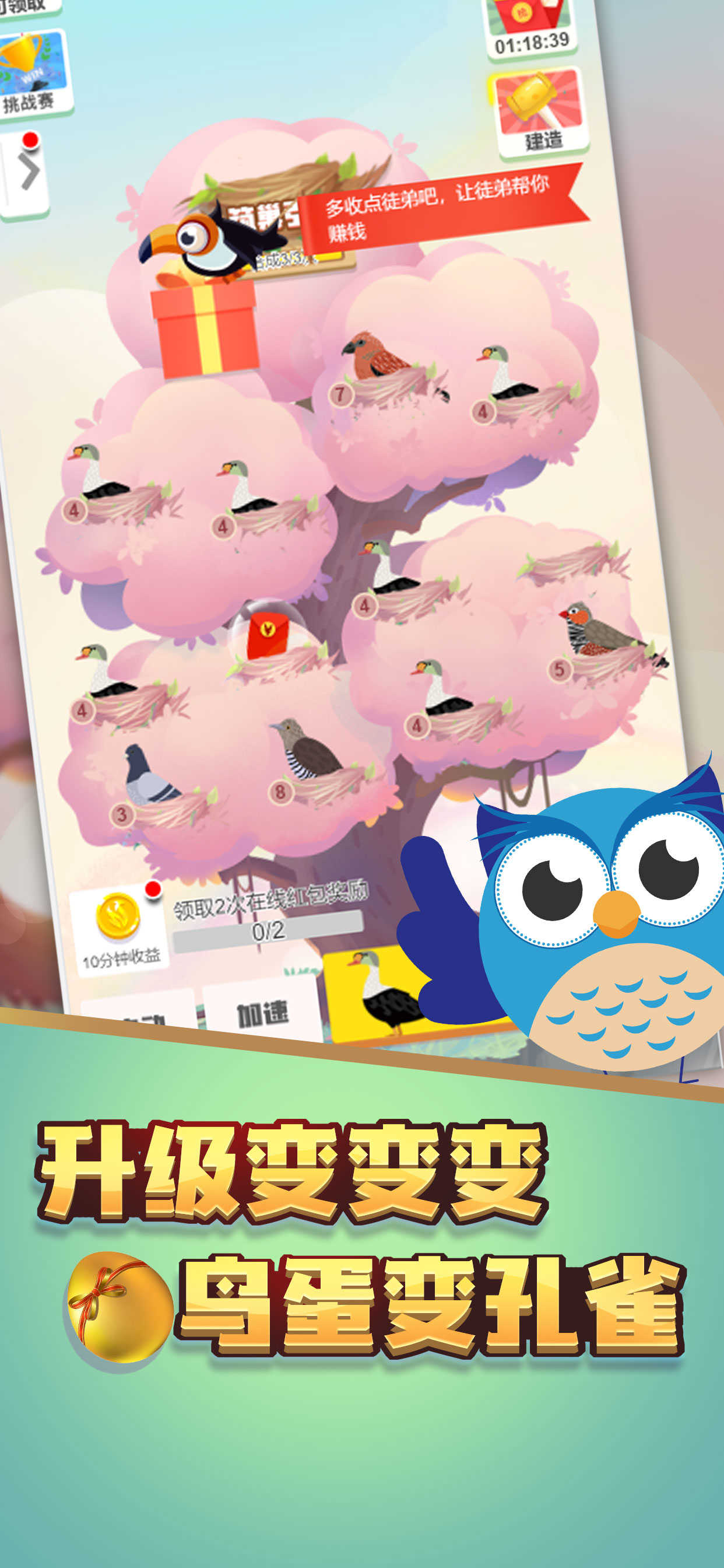 小鸟对对碰图3