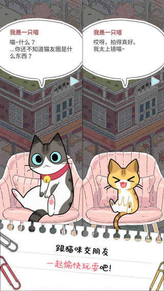 猫友圈猫咪的旅行.3图1