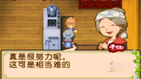 牧场物语双子村游戏完整版图4