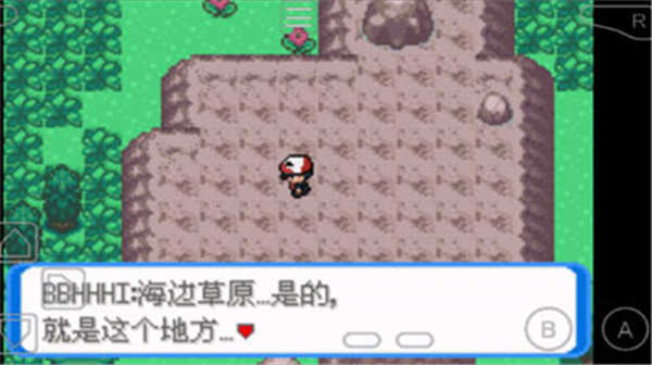 口袋妖怪圣灰 图1