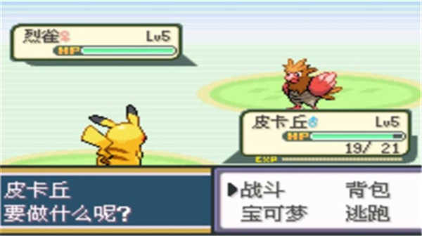 口袋妖怪圣灰 图4