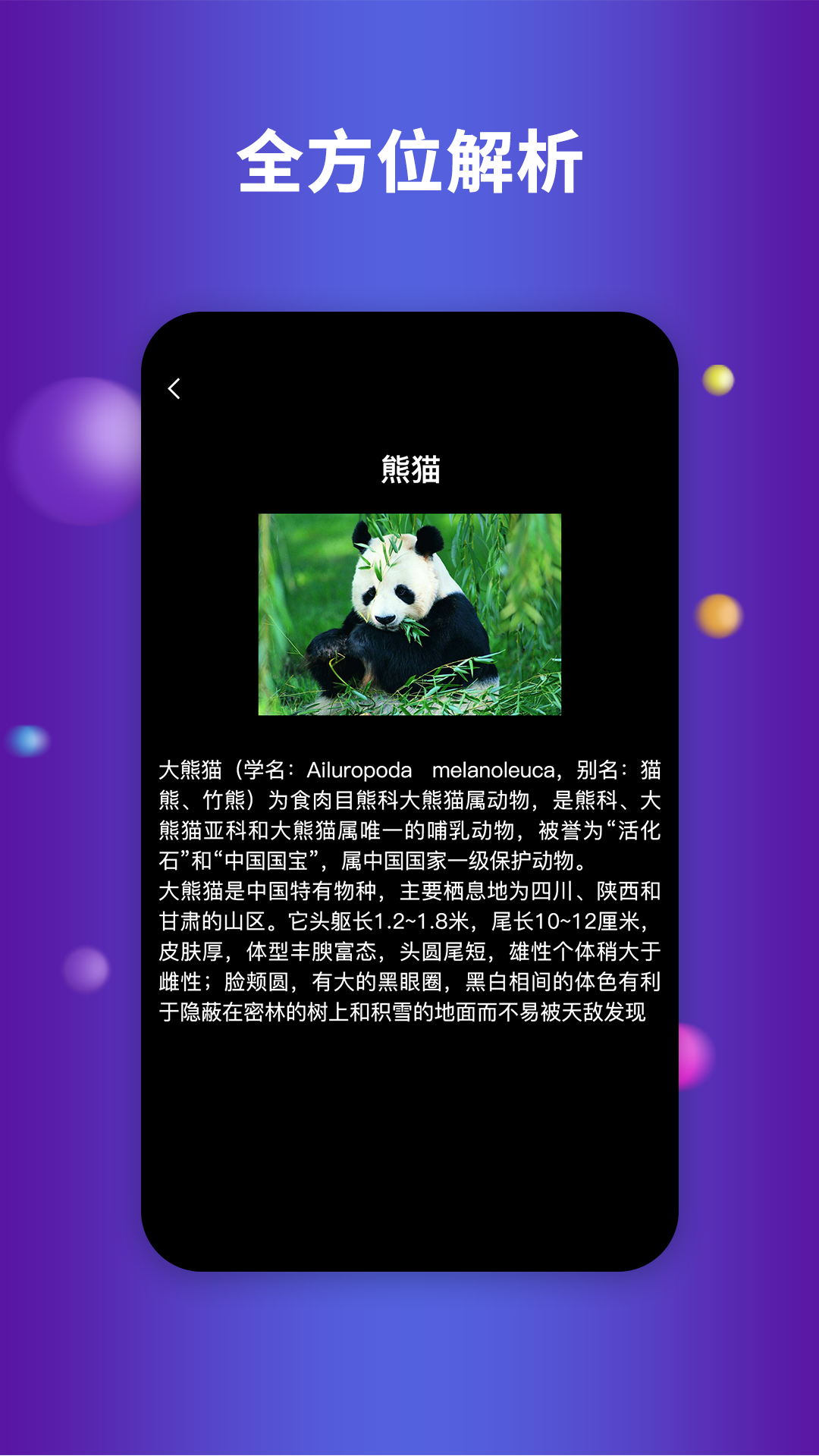 earth地球安卓版图3