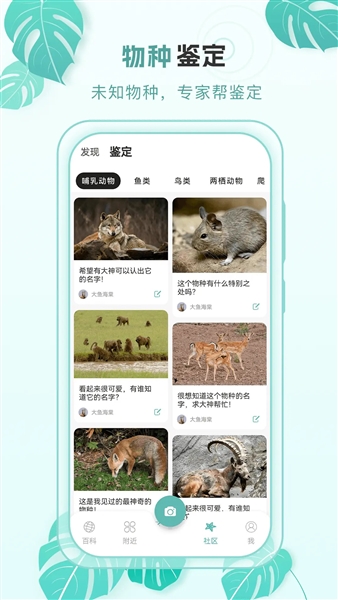 百科物语图5