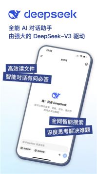 deepseek网络版(4)