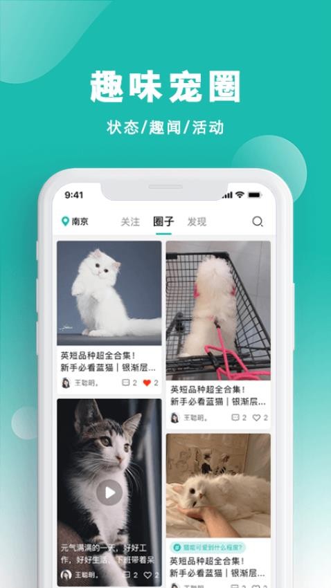 宠都图1