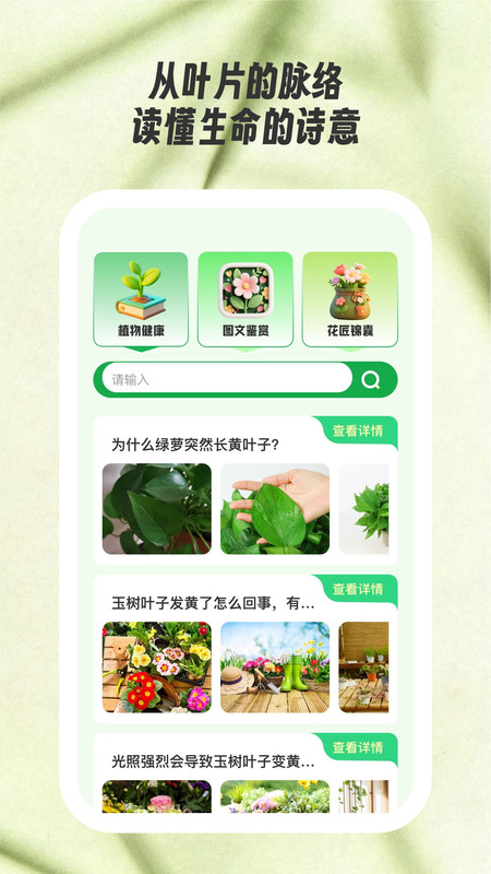 花见知图1