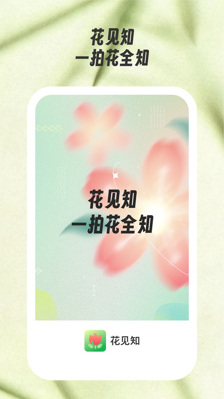 花见知图4