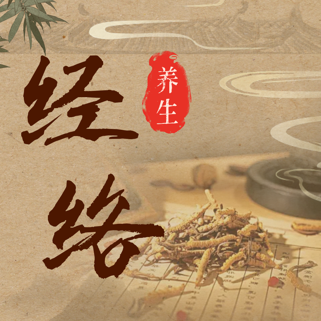 穴位经络图谱 v1.0.0