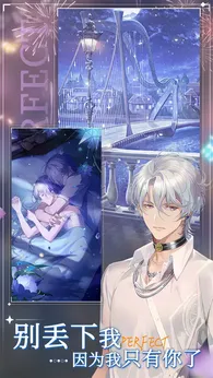 完美星程2025版