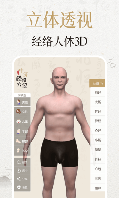 中济经络穴位2026图1