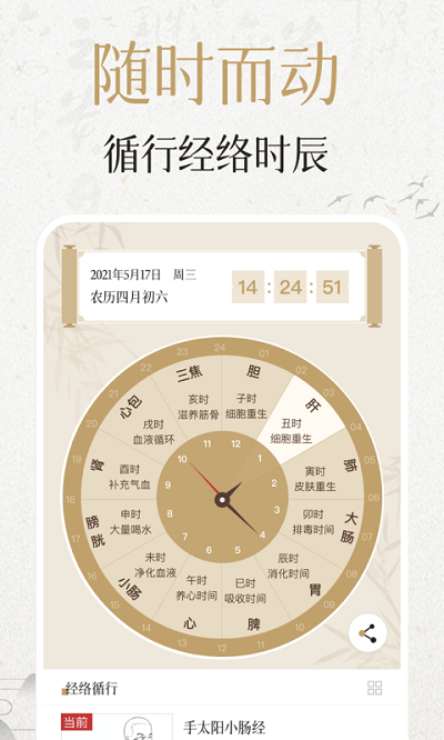 中济经络穴位2026图3