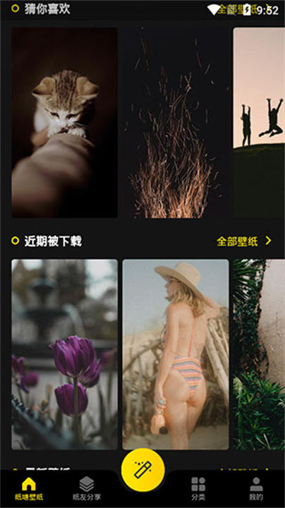 纸塘壁纸2026图4
