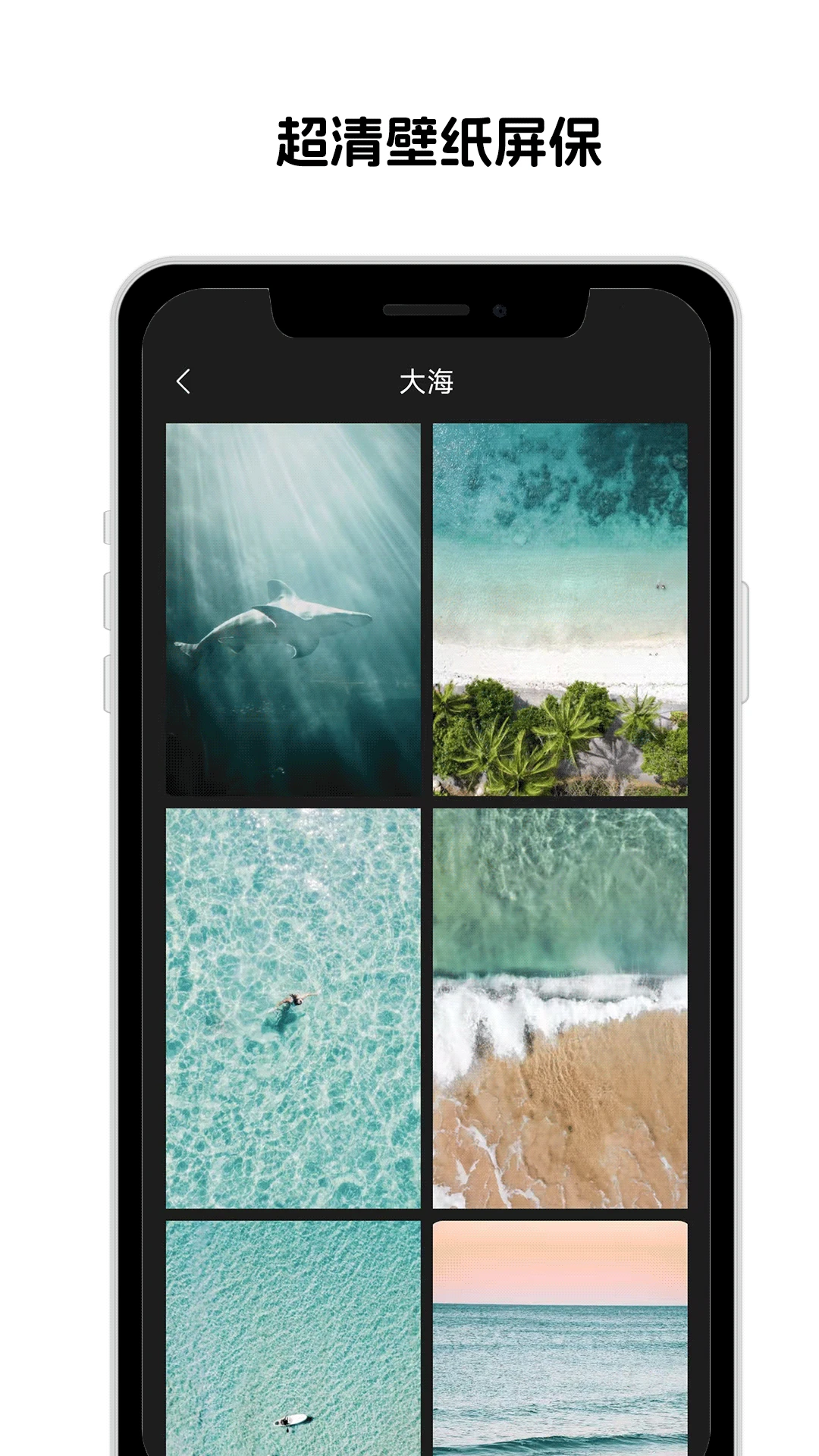 靓机壁纸图2