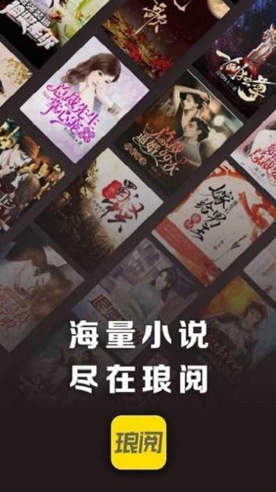 琅阅免费小说 图4