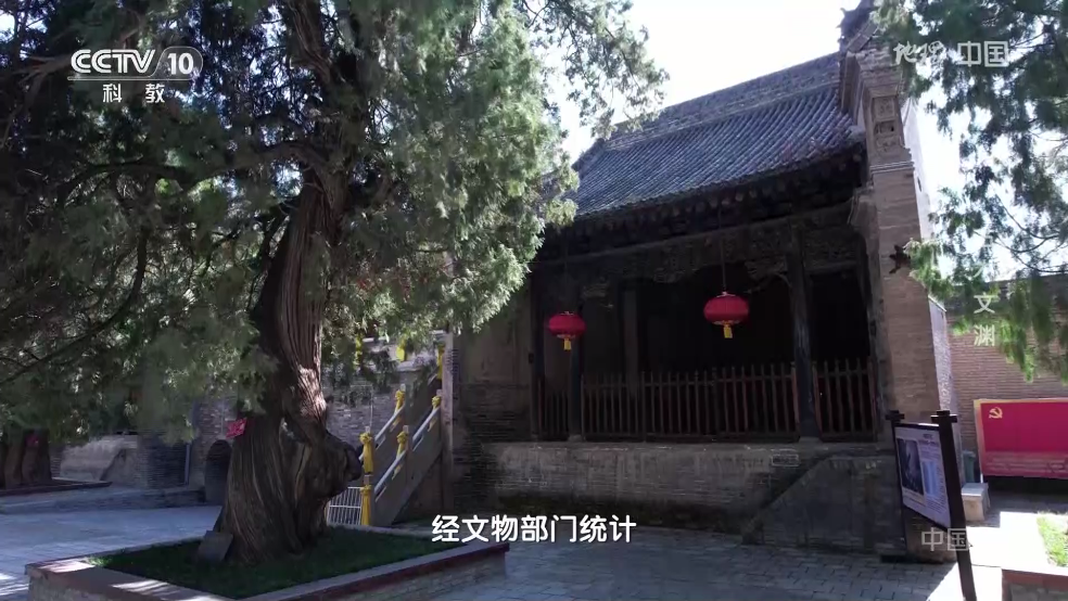 魄狼TV安装包图3