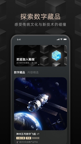 鲸探数字藏品