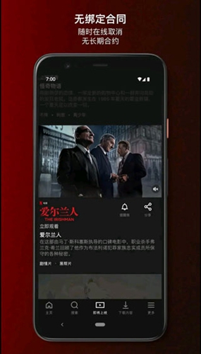 Netflix图5