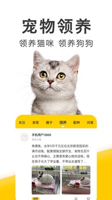 有只宠物图1