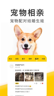 有只宠物图2