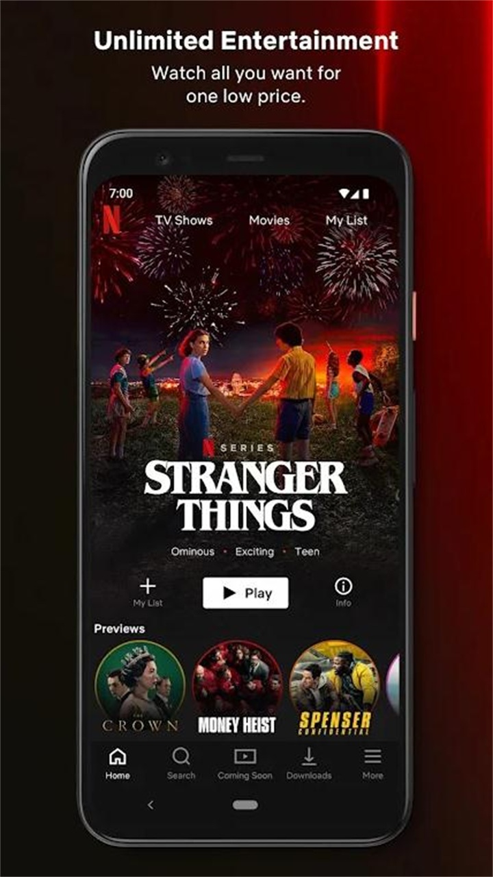 奈飞影视剧(Netflix)  build 3 63666 安卓最新版图3
