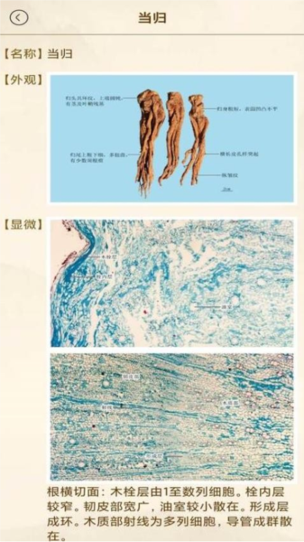 中医方歌图4