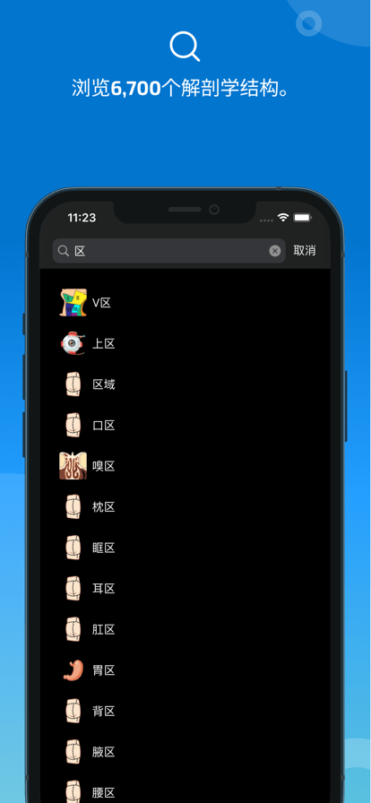 eAnatomy最新版图1