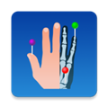 eAnatomy正版