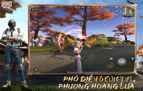 pubg越南服手游无广告版图5