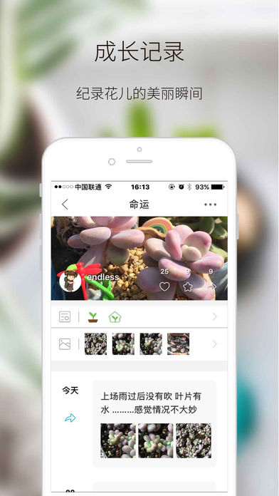 绿手指图3