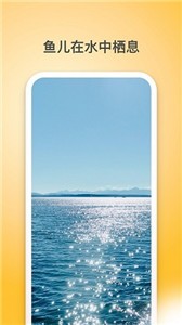 夏橙光遇图2