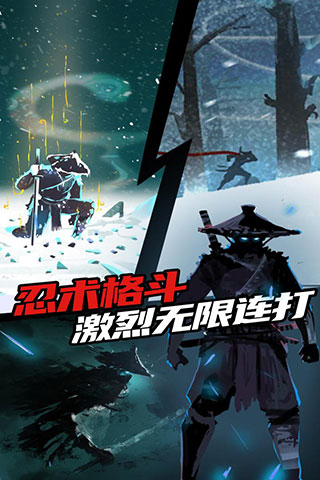 忍者岚中文版图3
