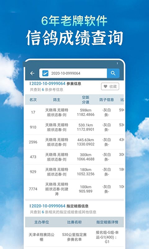 信鸽足环号网查询1