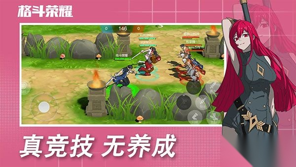 格斗荣耀中文版图3