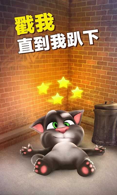 会说话的汤姆猫 图2