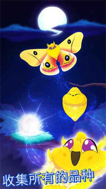 彩翼之星夜 (4)