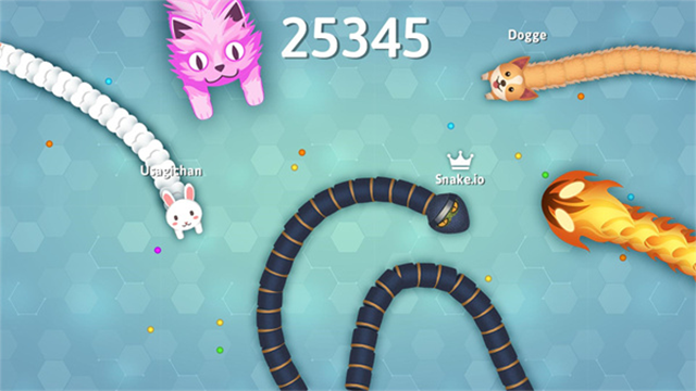 Snakeio 