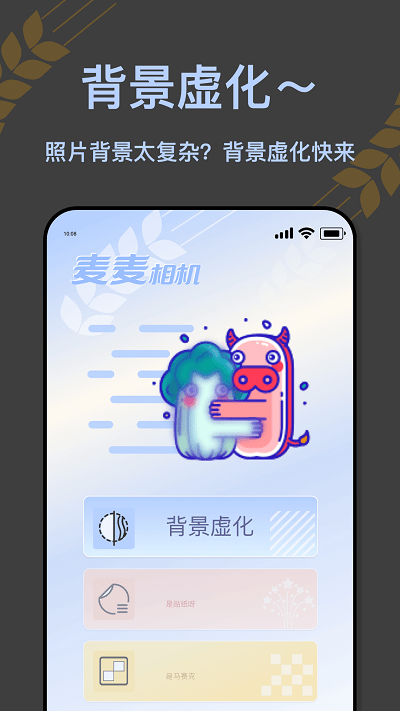 麦麦相机安装图4