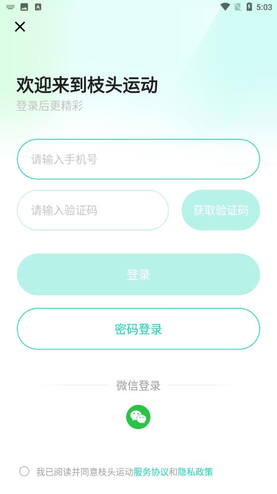 枝头运动图2