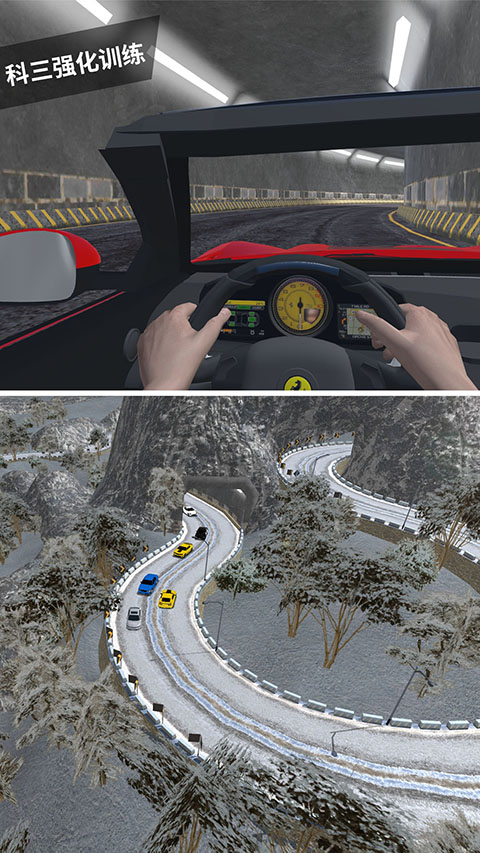 驾考模拟3d最新版(5)